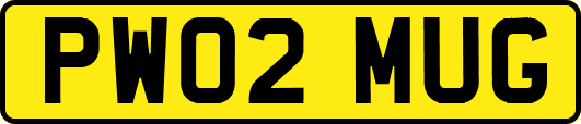 PW02MUG