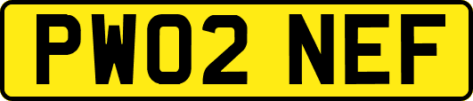 PW02NEF