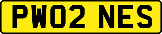 PW02NES