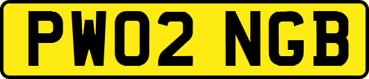 PW02NGB