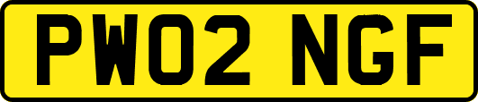 PW02NGF