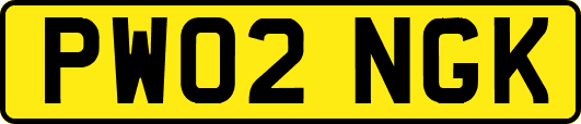PW02NGK