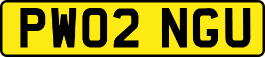 PW02NGU