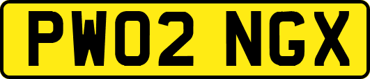PW02NGX