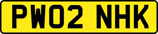 PW02NHK