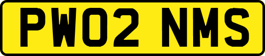 PW02NMS