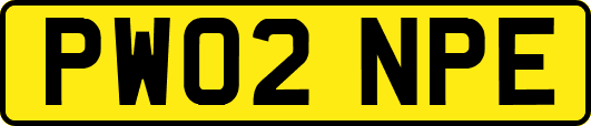 PW02NPE