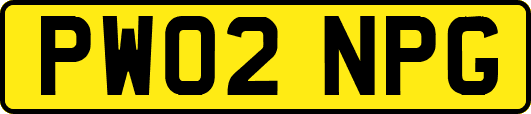 PW02NPG