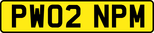 PW02NPM