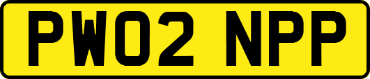 PW02NPP