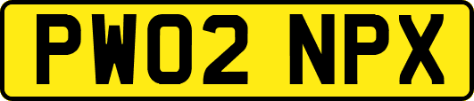 PW02NPX