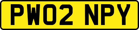 PW02NPY