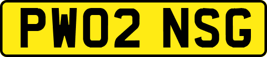 PW02NSG