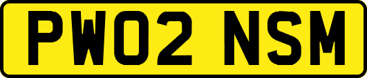 PW02NSM