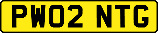 PW02NTG