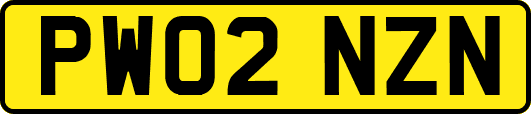 PW02NZN