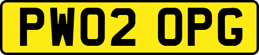 PW02OPG