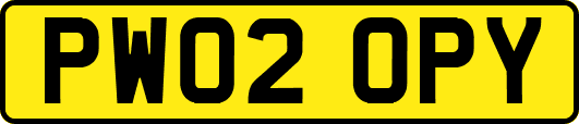 PW02OPY