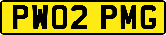 PW02PMG