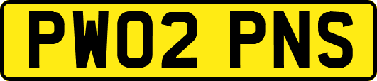 PW02PNS