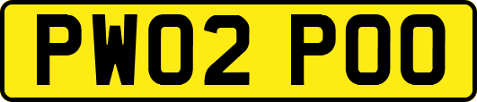 PW02POO