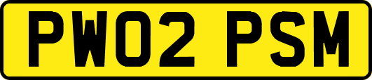 PW02PSM