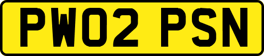 PW02PSN
