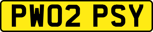 PW02PSY