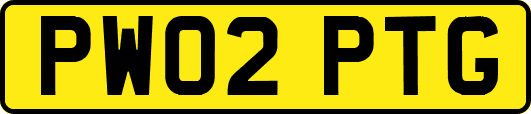 PW02PTG