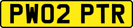 PW02PTR