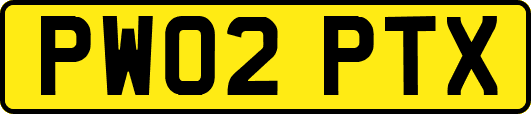 PW02PTX
