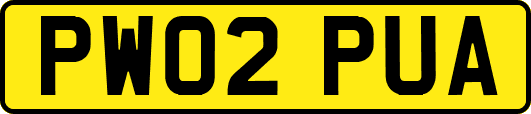 PW02PUA
