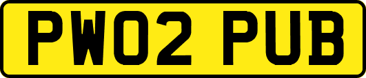 PW02PUB