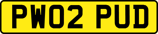 PW02PUD