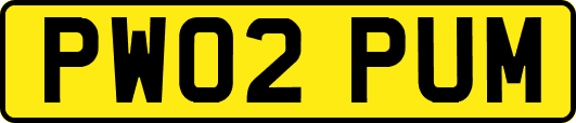 PW02PUM