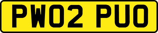 PW02PUO