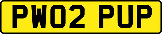PW02PUP
