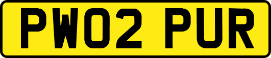 PW02PUR