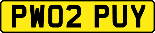 PW02PUY