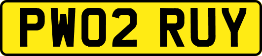 PW02RUY