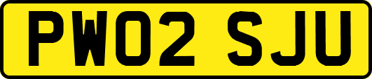 PW02SJU