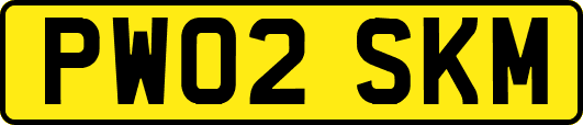 PW02SKM