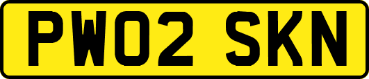 PW02SKN