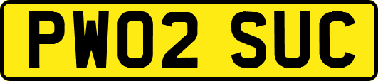 PW02SUC