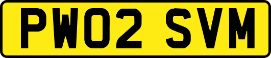 PW02SVM