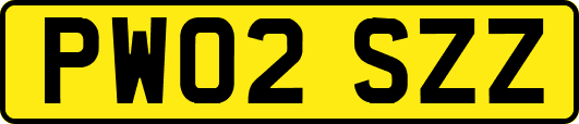 PW02SZZ
