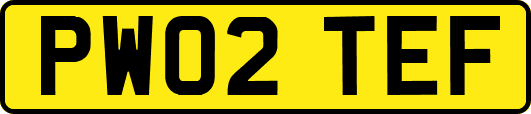 PW02TEF