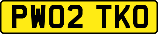 PW02TKO