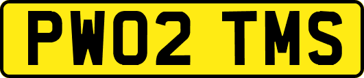 PW02TMS