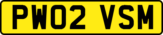 PW02VSM